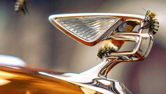 Bentley bate récords de producción en la producción de miel de abeja: ¿cómo sucedió esto?