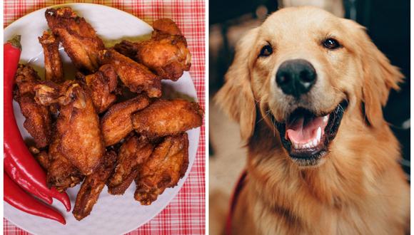 Super Bowl 2023: ¿Pueden los perros comer alitas? 4 alimentos que no debes  darle | USA | US | RESPUESTAS | MAG.