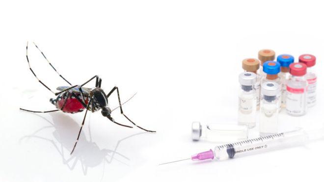 La malaria causa la mayoría de las muertes producidas por el conjunto de las enfermedades parasitarias. (Foto: Getty)