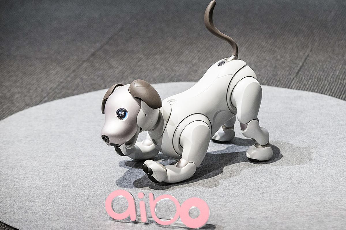 Aibo, el perro robot dotado de inteligencia artificial