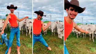 Viral: Vaca interrumpe el baile de joven ‘Tiktoker’ “Ser un artista rural es difícil”