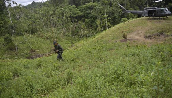 La policía colombiana llega en helicóptero para apoderarse de un campo de coca en Tumaco, el 26 de febrero de 2020. (Foto referencial: RAUL ARBOLEDA / AFP)