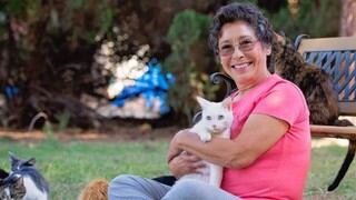 ¿Podrías vivir con más de mil gatos? Una mujer lo hizo y esta es su inigualable experiencia