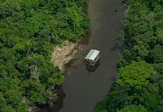 Violencia en la Amazonía de Colombia: guardaparques desplazados y 14 áreas protegidas disputadas por grupos armados ilegales