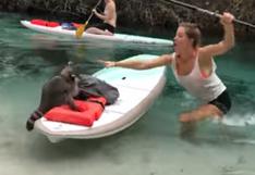 YouTube: mapache trata de robarle sus cosas a mujer en kayak