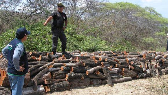 Osinfor: 80% de inspecciones contra tala ilegal irregulares