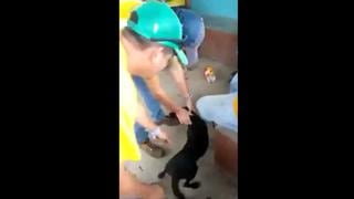 Facebook: lastiman a perro y reciben un duro castigo [VIDEO]