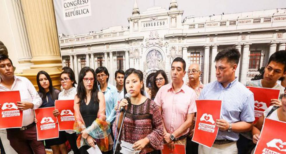 El proyecto fue presentado por las congresistas Marisa Glave e Indira Huilca. (Foto: Andina)