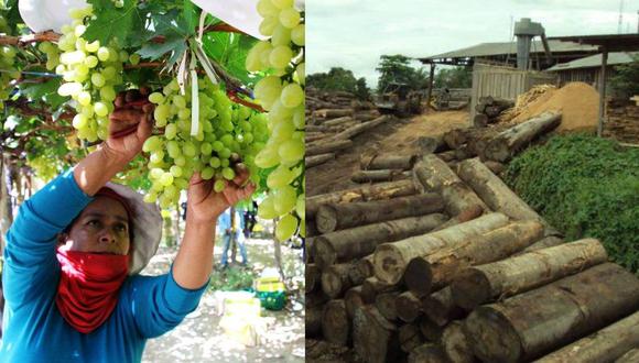 Agroexportación y sector forestal: La historia de dos sectores