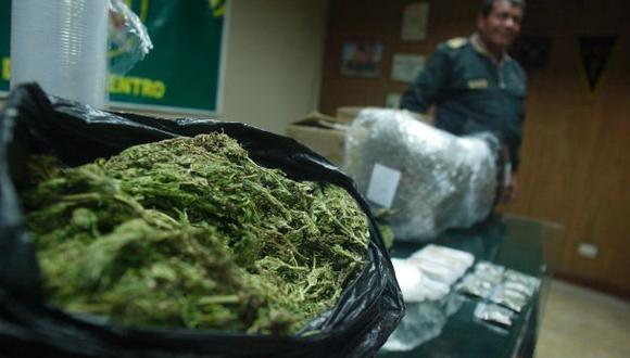 Policía destruye más de tres mil plantones de marihuana
