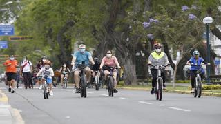 Huancayo: municipalidad aclara que no emite ni emitirá licencias de conducir para ciclistas