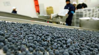 ADEX: El Perú se mantuvo como primer exportador mundial de arándanos en el 2020