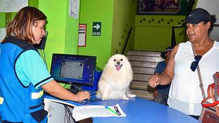 Ventanilla apuesta por registro y control natal de mascotas