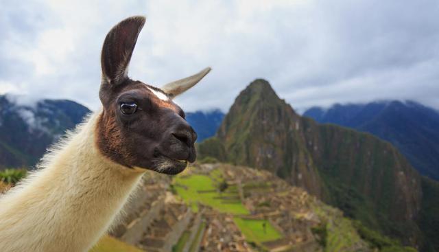 Machu Picchu