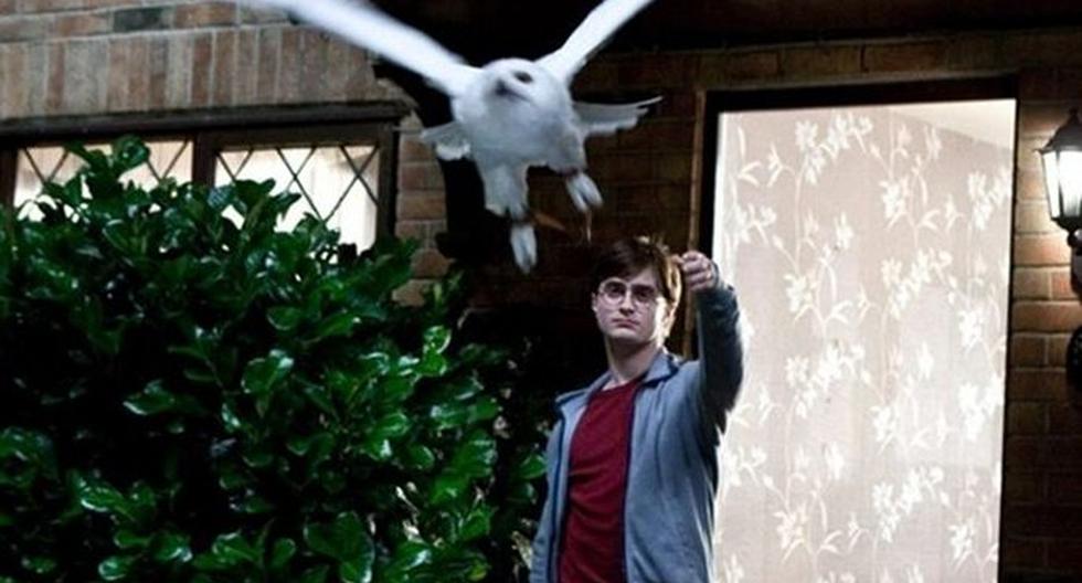 PETA acusa al tour de Harry Potter de maltratar a los búhos. (Foto: Warner)