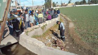 Extraña muerte de animales atemoriza a pobladores de Arequipa