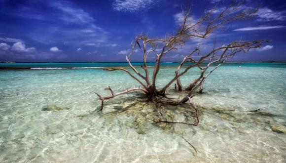 Aruba, Bonaire y Curazao son uno de los destinos favoritos de los turistas que visitan el Caribe. (Foto: AFP)
