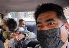 México: el taxista ‘amigo’ de los animales que transporta a mascotas en su unidad sin hacerse problemas