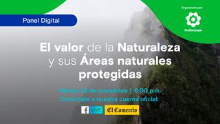 ¿Cuál es el valor que tienen las áreas naturales protegidas y su contribución al país?