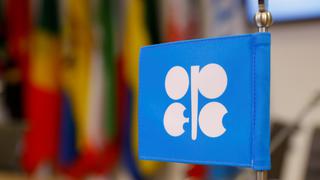 OPEP rebaja la subida de demanda mundial y advierte contra guerra comercial