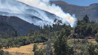 Reportan incendios forestales en Amazonas, Ayacucho, Cusco, La Libertad y Cajamarca