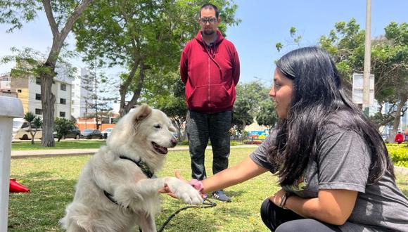 Municipalidad de Pueblo Libre dará clases gratuitas a niños y adolescentes sobre adiestramiento de mascotas