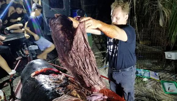 Filipinas | Deplorable hallazgo: Ballena con 40 kilos de plástico en su estómago muere de hambre. (AFP)