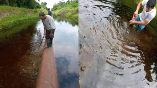 Loreto: investigan denuncia de derrame de petróleo en distrito de Urarinas