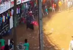 Colombia: Indignación generalizada por brutal matanza de un toro | VIDEO