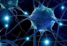 Crean sinapsis artificial que envía señales inhibitorias y estimulantes