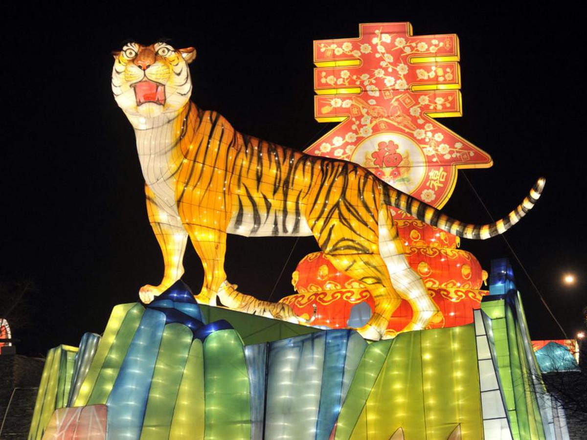 2022, el año del Tigre: qué dice el Horóscopo Chino 