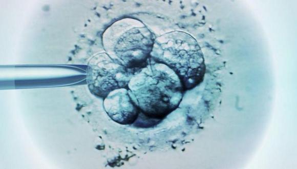 La fecundación in vitro ayuda a las mujeres con problemas de fecundación. (Getty Images).