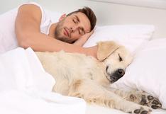 ¿Es riesgoso dormir con mi perro o gato? Especialistas explican los cuidados que debe haber en la cama 