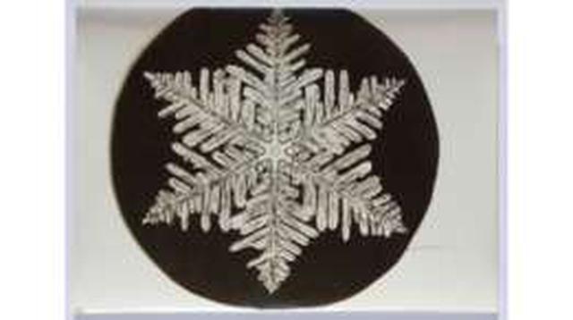 Estas son las primeras fotos microscópicas de copos de nieve - 4