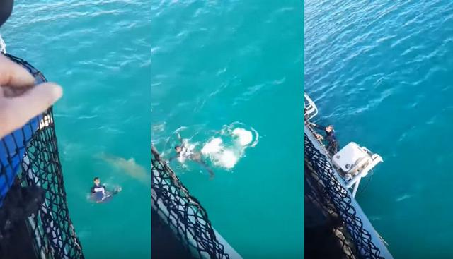 El hombre, inmediatamente, subió rápidamente al barco para ponerse a salvo. (YouTube: Shark Island TV)