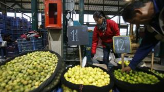 Mercado Mayorista de Lima: precio del limón seguirá alto todo el mes de agosto