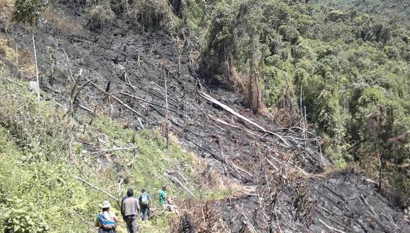 La principal causa de la pérdida del bosque es la agricultura migratoria, actividad de subsistencia que arrasa los árboles en la Amazonía, quema la madera, cultiva y abandona la zona en un lapso no mayor de tres años, cuando se ha agotado la fertilidad del suelo. (Foto: Difusión).