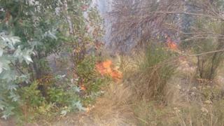 Ayacucho: incendio forestal afectó 40 hectáreas de cobertura natural