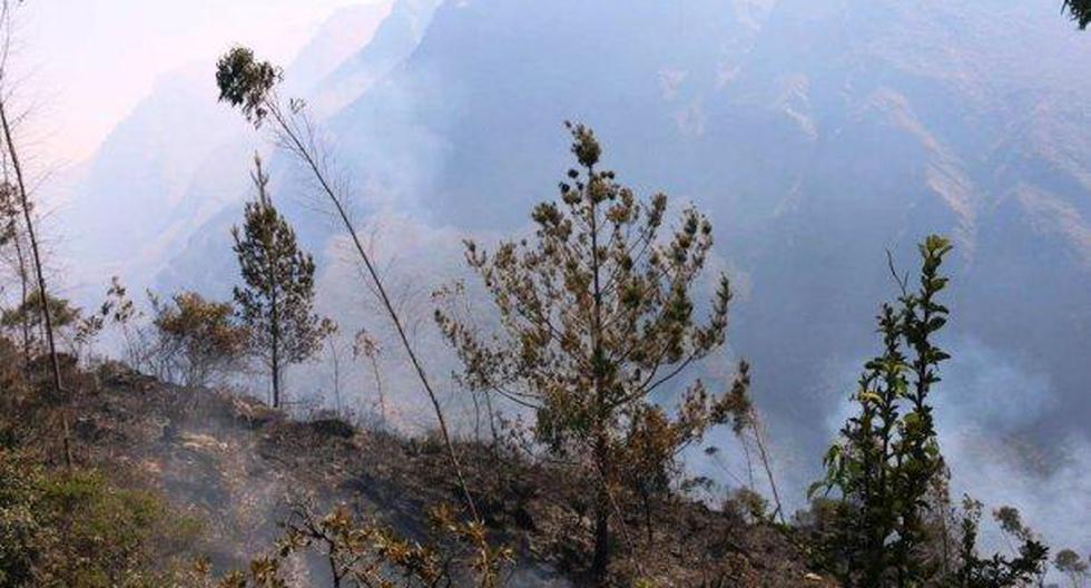 Se realiza la evaluación complementaria de daños originados por este incendio forestal. (Foto: Andina)