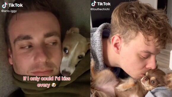 Una canción modificada que aparece en Stranger Things se está volviendo viral en TikTok y los usuarios la utilizan para dedicar tiernos videos a sus perros. (Foto: TikTok/arlo.iggy y louthechichi).