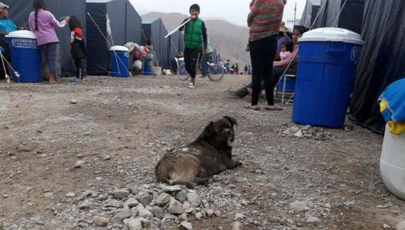 Cerca de 2 mil personas se quedaron sin casa en el centro poblado de Mirave, en Tacna, luego de la caída del huaico. Ellas fueron albergadas en carpas en la zona alta en la zona alta de esta localidad (Foto: Zenaida Condori)