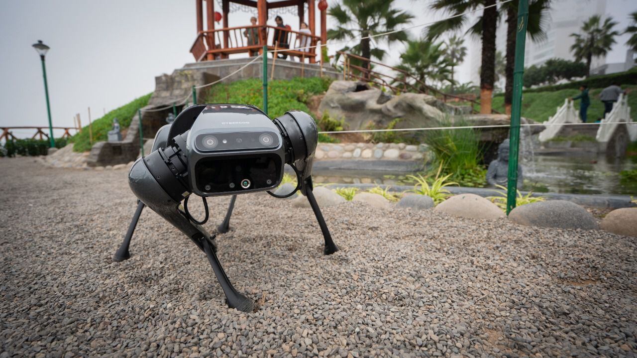CyberDog is the dog robot of the Asian firm Xiaomi.  (Photo: Diffusion)
