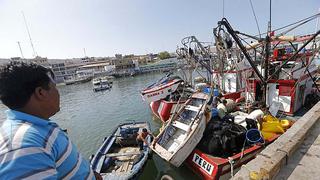 Produce: pescadores artesanales del sur volverán a capturar chanque y choro