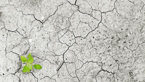 El informe del IPCC indica que es necesario un cambio en el uso de los suelos con el objetivo de atenuar los efectos del cambio climático. (Foto: Pixabay)
