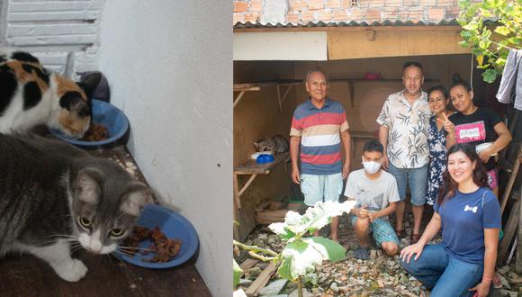 El último viaje que WUF realizó fue a Iquitos, en donde visitó el albergue Refugio Bigotes Felices, en donde viven veinte gatitos en búsqueda de un hogar.