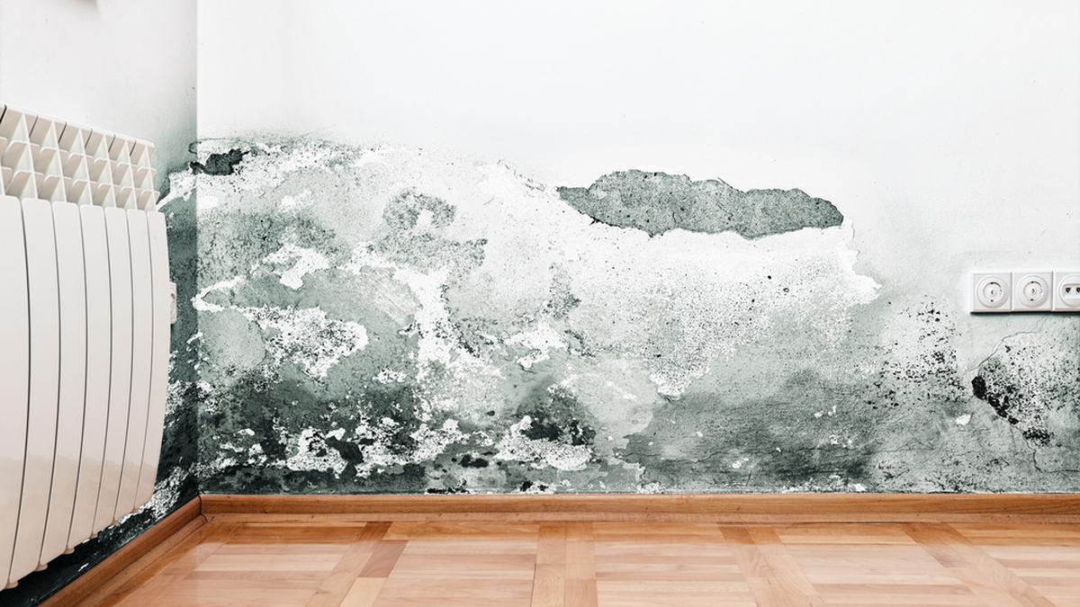 Cómo eliminar las humedades de paredes interiores