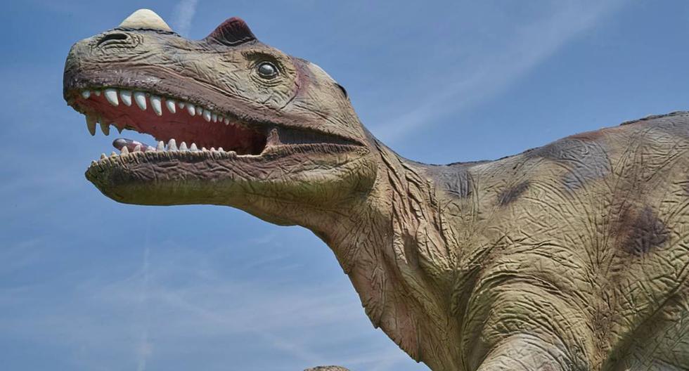 Durante tres décadas, una controversia ha agitado el mundo de la paleontología: ¿hubo una especie enana de tiranosaurios? (Foto: Referencial/Pixabay)