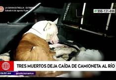Chanchamayo: Perro acompañó en todo momento a sus dueños que fallecieron en accidente