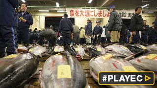 El primer atún del año en Tokio alcanza 117 mil dólares [VIDEO]