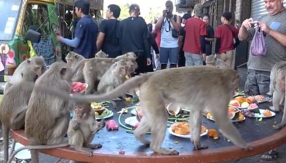 Manada de monos son sorprendidos con insólita "fiesta de cumpleaños" a modo de ritual de agradecimiento, pues lugareños en Tailandia creen que son sagrados y traen buena suerte al área. ( Foto: Captura YouTube)